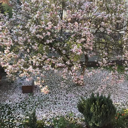 ベッド・アンド・ブレックファスト D'hotes 